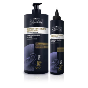 Hair Company UK Displayed are two bottles from L'Oréal Professionnel's Serie Expert Blondifier range, ideal for maintaining an ice blond look. The larger bottle is a pump design labeled "Black Bleaching Cream for Ice Blond," while the smaller one features a nozzle cap and is labeled "Step 2 Treatment Dye Blond Ice Neutralizer." Both bottles sport a dark blue design with gold accents and have text in Italian and English.