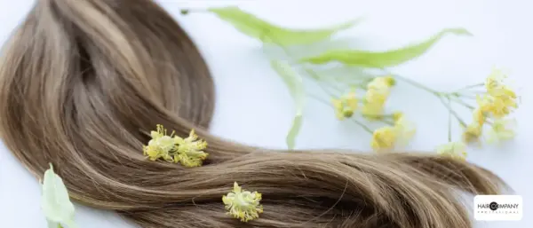 a lock of smooth, light brown hair from hair company uk distributor (5).opti is arranged on a white surface, accented with small yellow flowers and green leaves scattered beside and on the hair. hair company uk