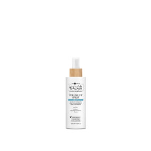 Volume Up Spray 150ml - Density3 | Hair Company Professional